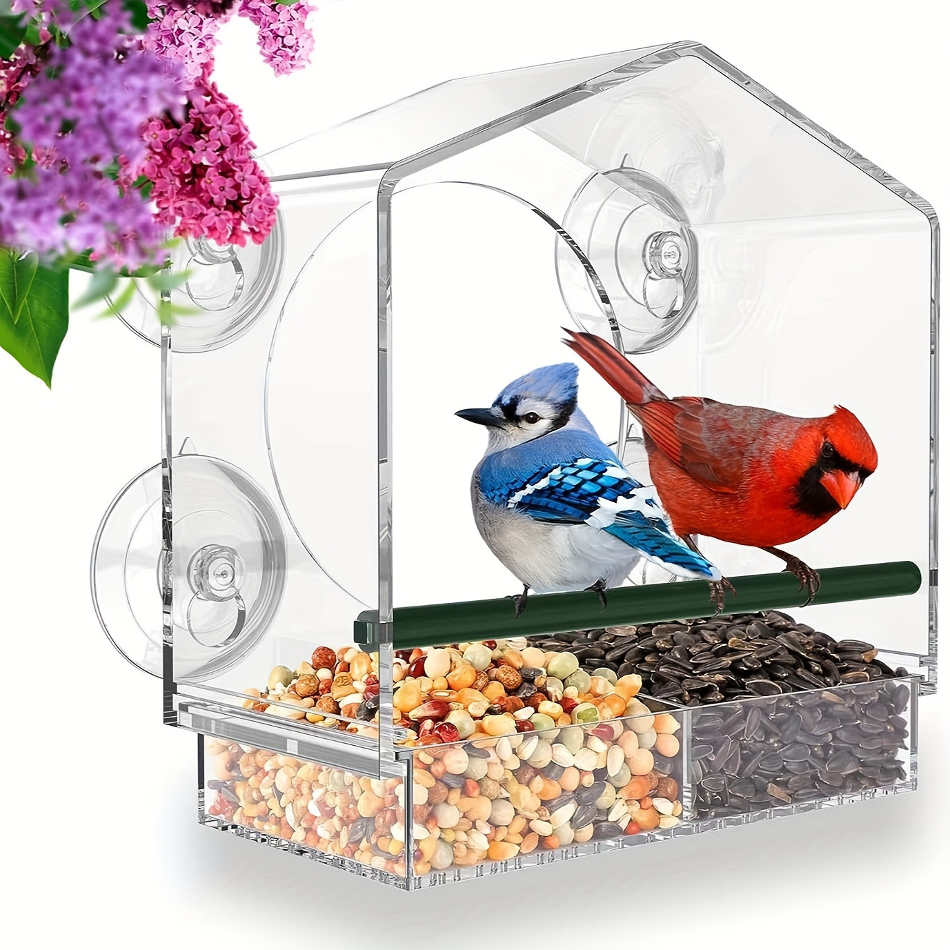 Lifreer Mangeoire à oiseaux avec ventouses puissantes en plastique  transparent pour jardin et extérieur : : Jardin