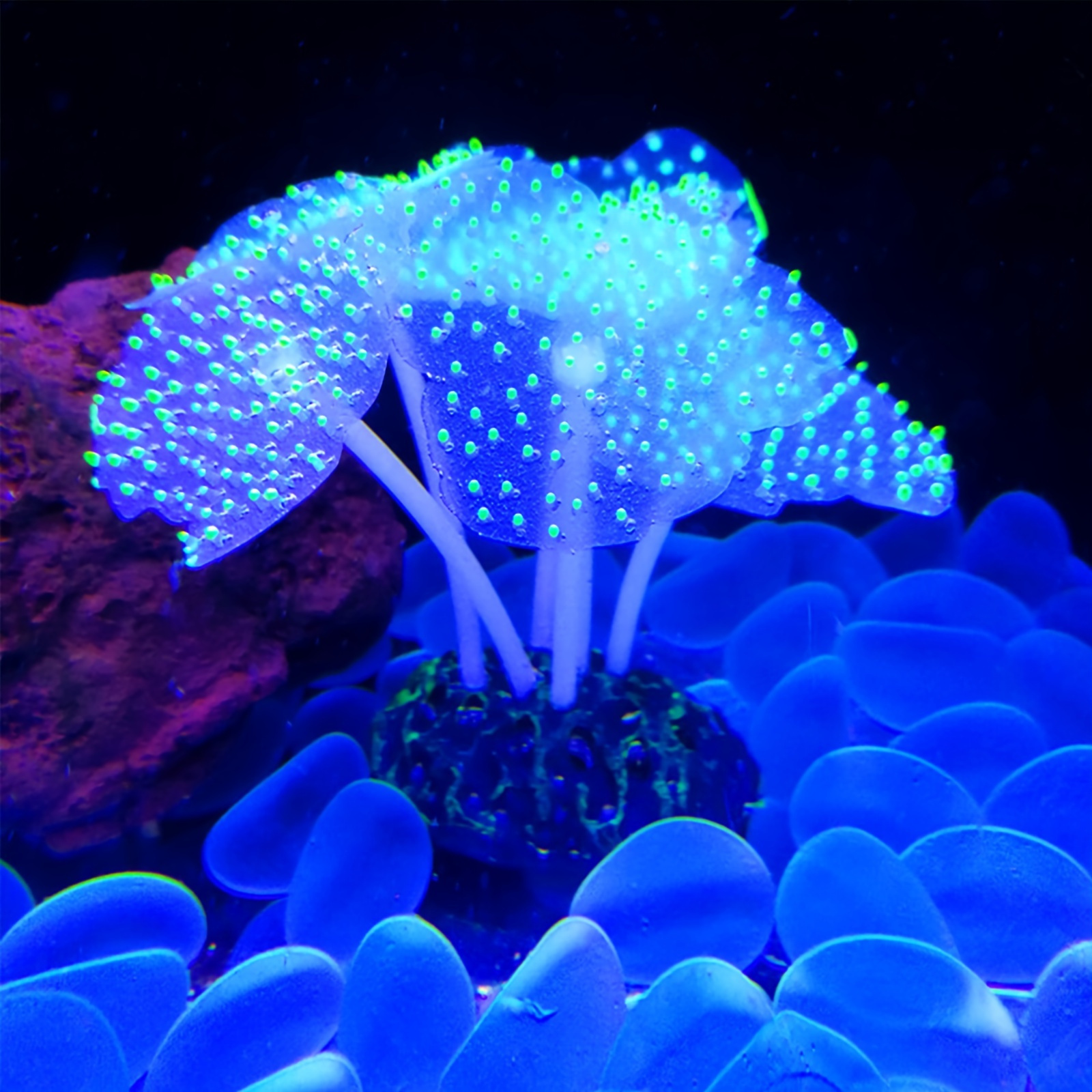 

Silicone Coral Plant Decorations Glowing Artificial Ornament For Fish Tank Aquarium Green Ball Shape