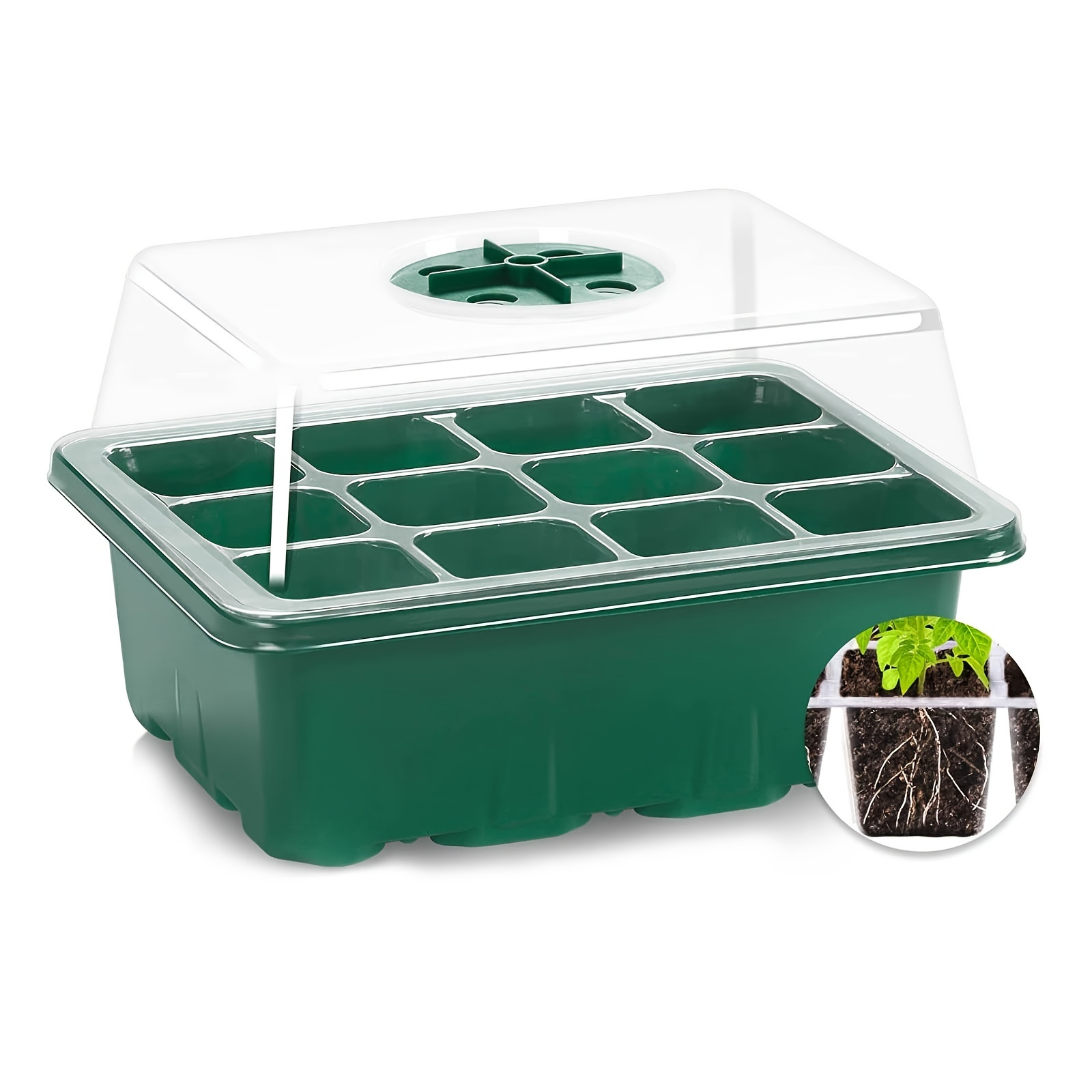 4pk Small Storage Trays Daydream Green - Brightroom™