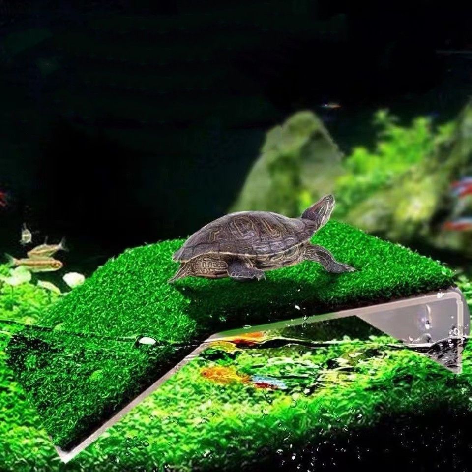 Pelouse artificielle d'herbe de fausse herbe pour la tortue - Temu Belgium