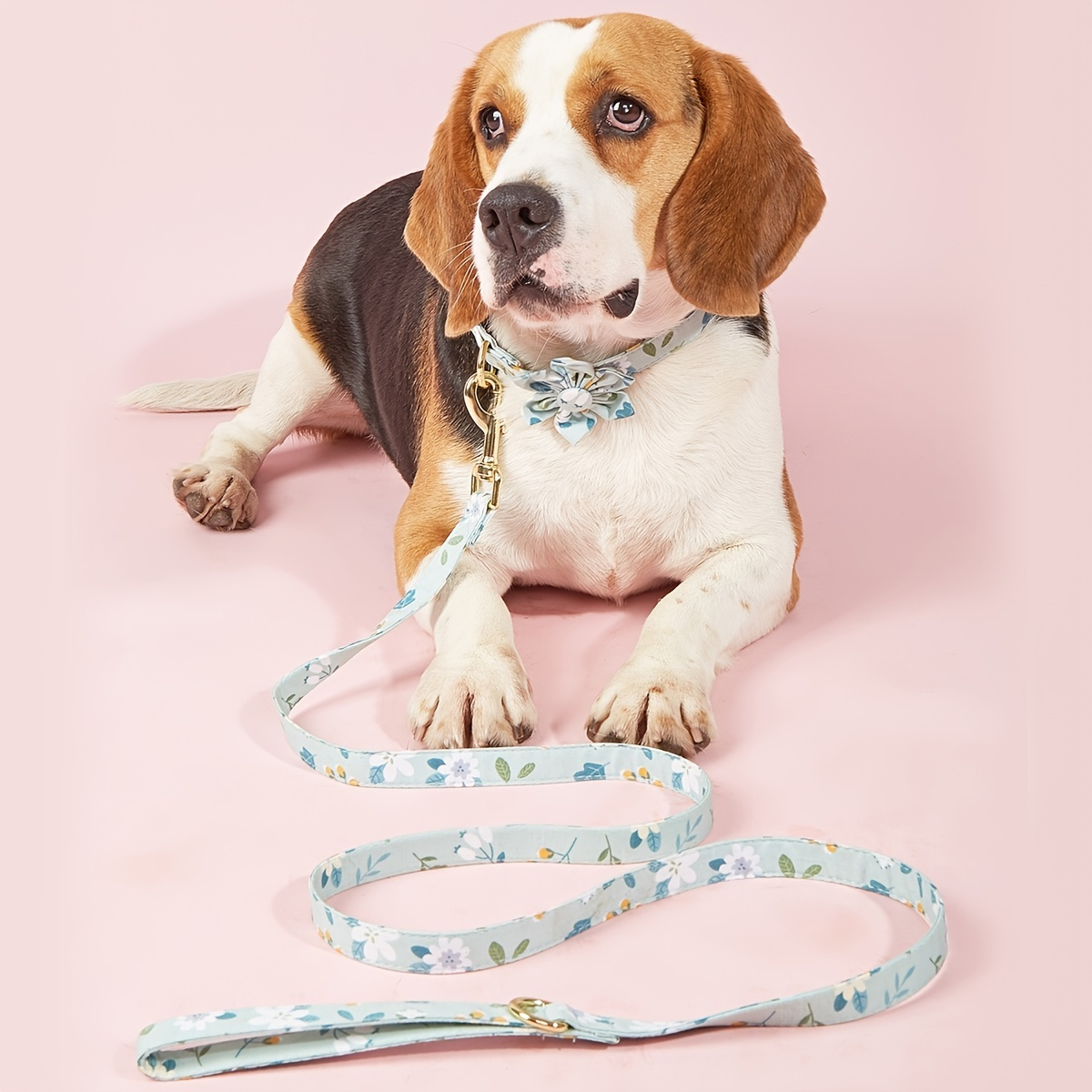 Stylish And Durable Spiked Dog Collar With Matching Leash Perfect For