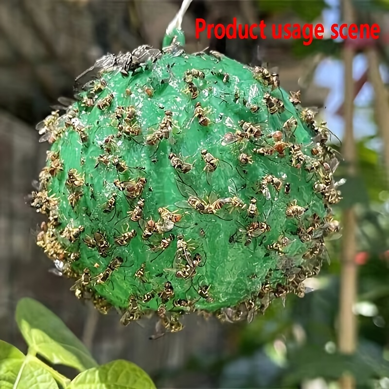 Cute Ball Design Sticky Traps: Capture Fruit Flies - Temu