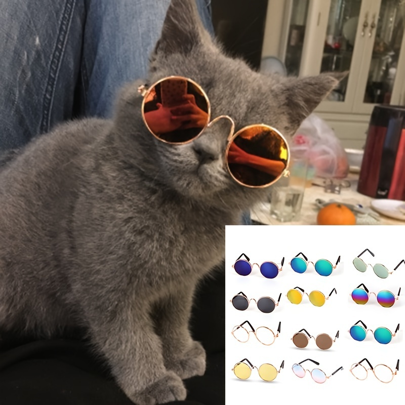 Cute Sexy Retro Cat Eye Sunglasses Women Small Black Leopard Triangle  Vintage Ladies Sunglasses PC Female UV400 