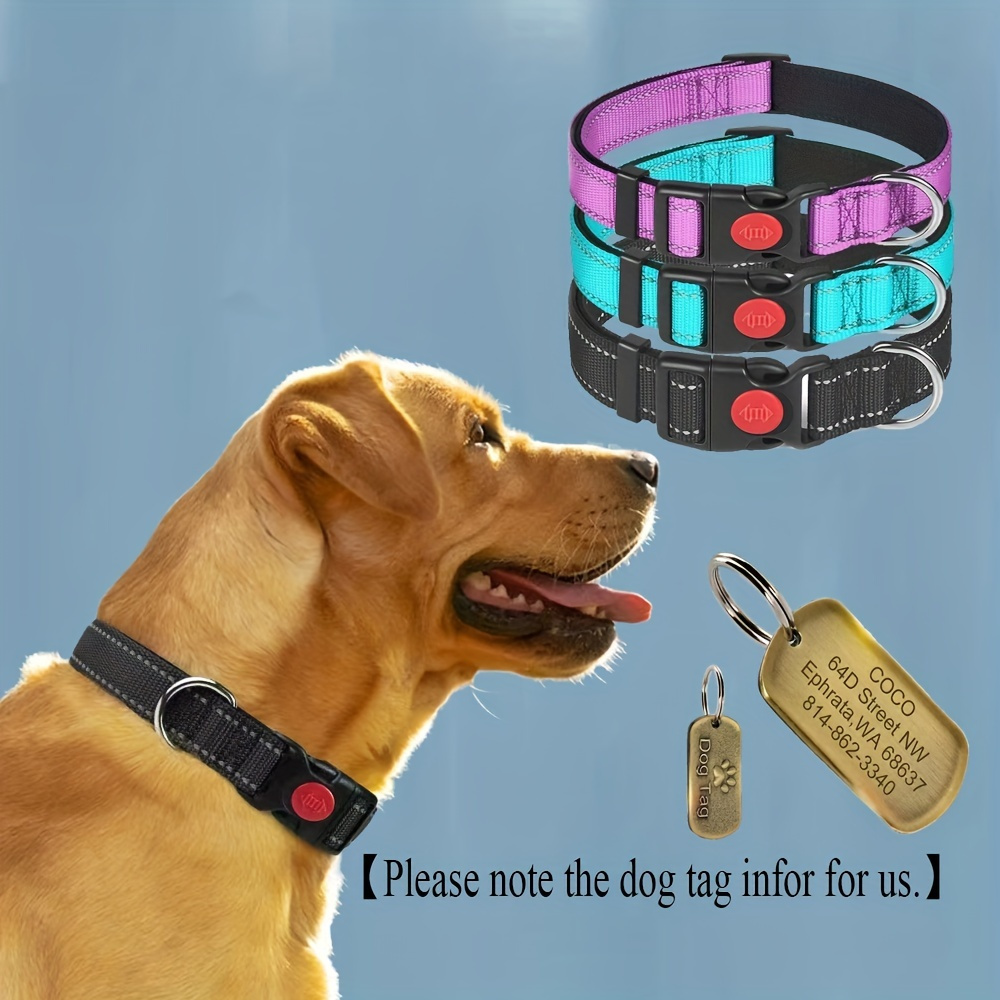 Joytale 3pcs/5pcs Luz Seguridad Collar Perro Led Luz - Temu