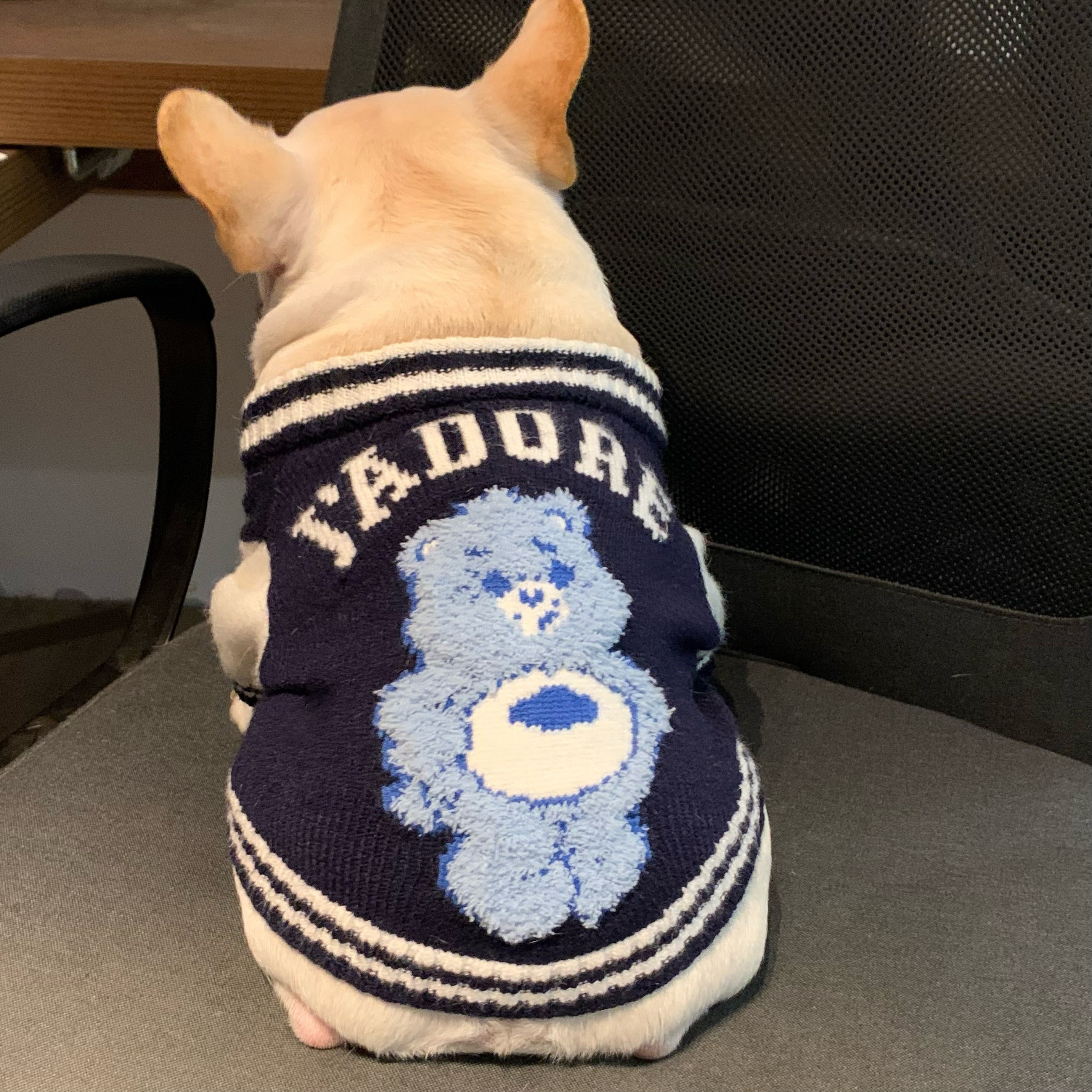 Dallas Cowboys Dog Sweater - Pet Costume Center