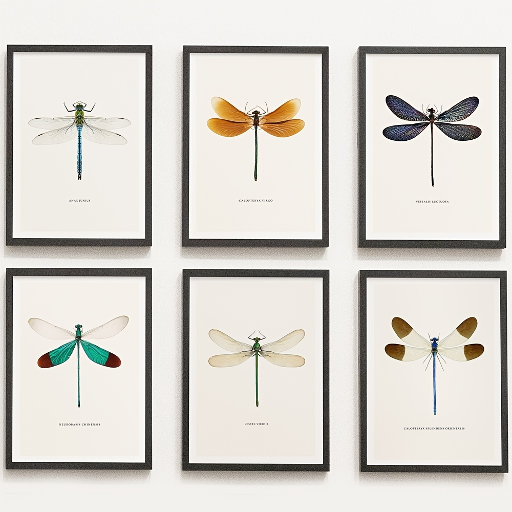 

6pcs Dragonfly Specimen Posters - Modern Art Design For Home Decor And Gifts For Teenage And Kids - A5, A4, A3, A2 Sizes - No Frames Included