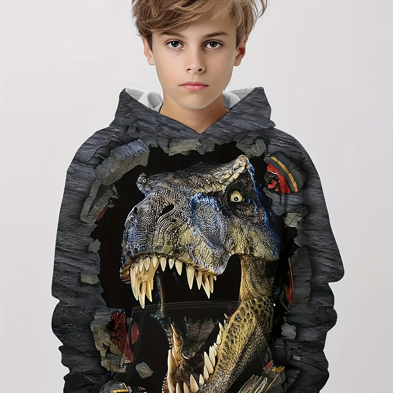 

Dinosaur 3d Print Boys Casual Pullover Hooded Long Sleeve Sweatshirt For Spring Fall, Kids Hoodie Tops Outdoor