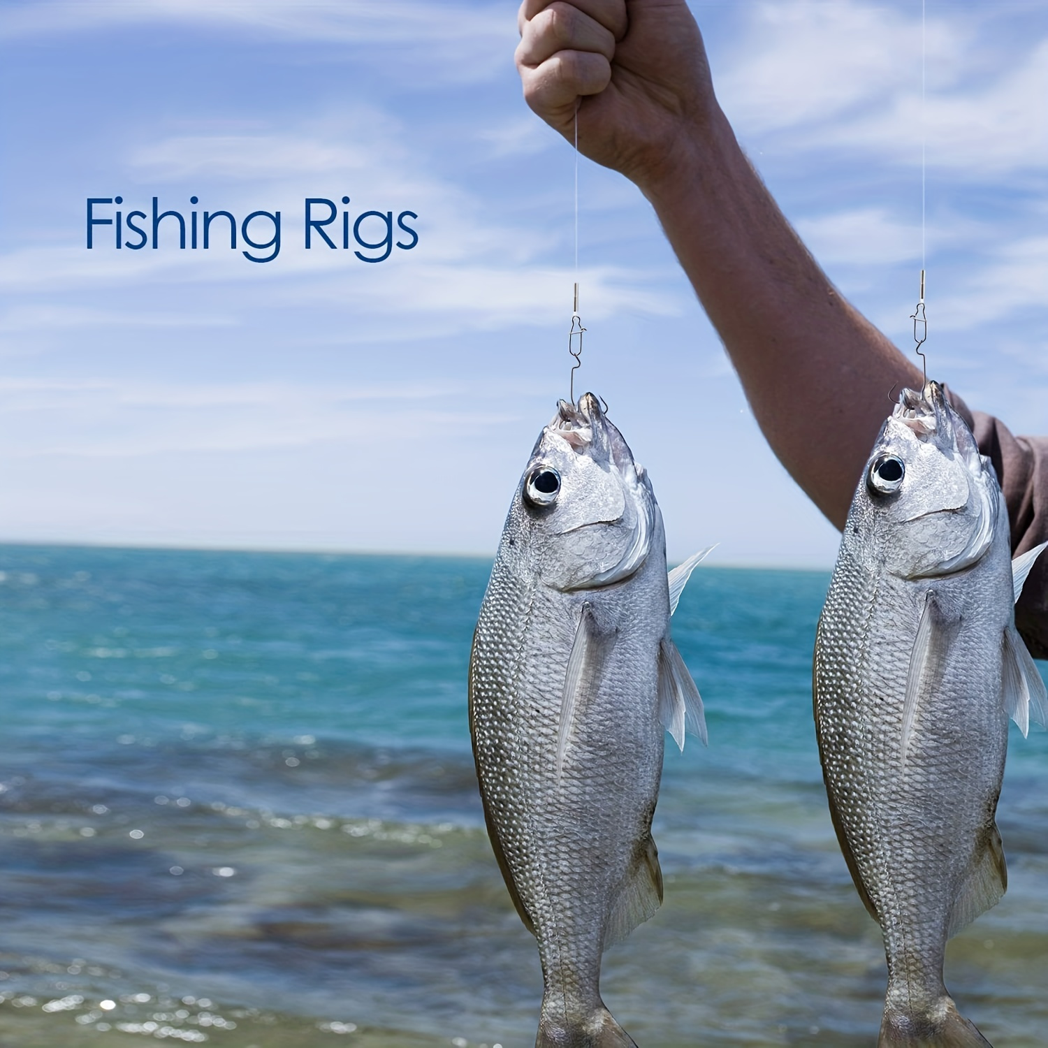 Saltwater Fishing Rigs - Temu