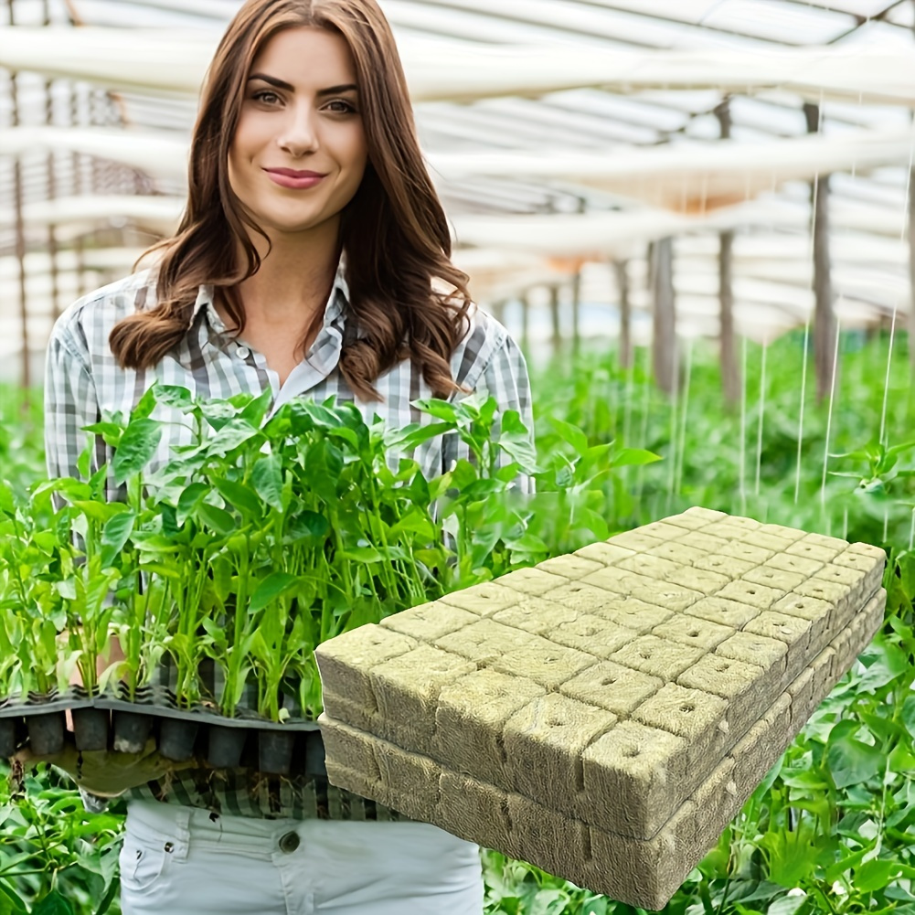 

100pcs Rockwool/ Stonewool Starter Cubes For Cuttings, Plant Propagation, And Seed Starting, Plant Germination Equipment