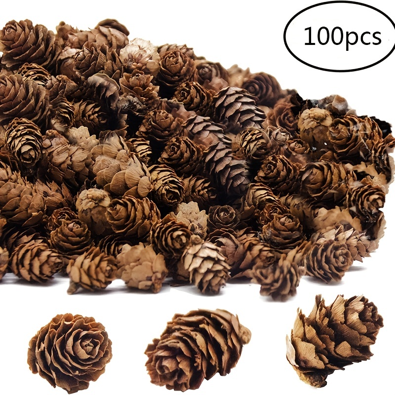 100Pcs Natural Mini Pine Cones Bulk, Thanksgiving Rustic Pine Cone  Ornaments Vase Fillers Christmas Small Tiny Pinecones for Crafts,Pine Cones  Decorations for Christmas Tree