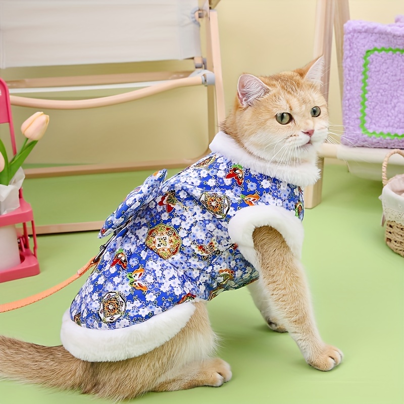 Cats Wearing Clothes 
