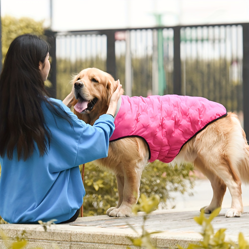 Extra large hot sale dog jacket