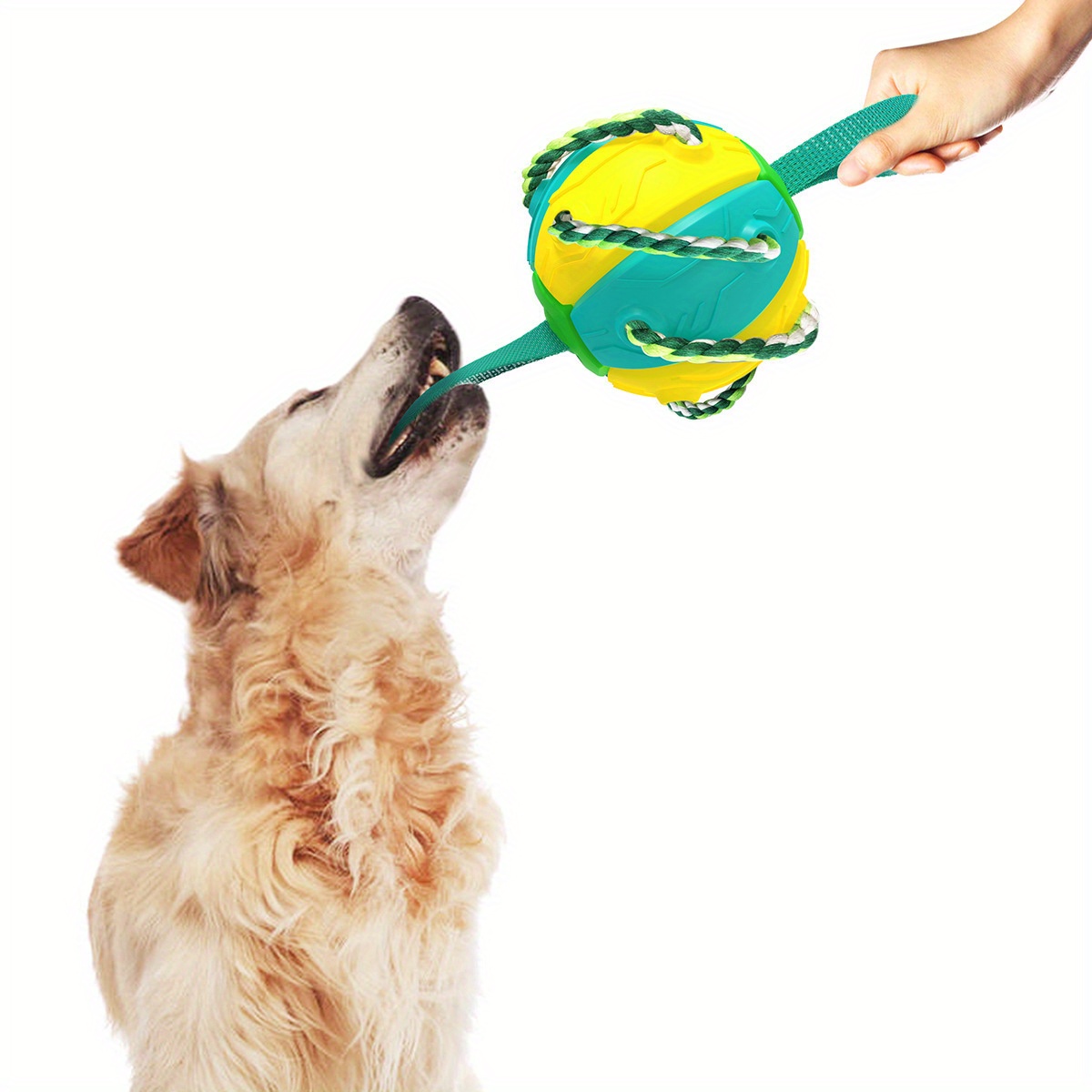 Dog Training Toys Outdoor Sport Flying Disc Interactive Pet Toy Suitable  For Dogs - Temu