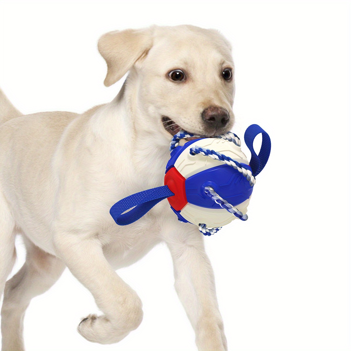 Dog Training Toys Outdoor Sport Flying Disc Interactive Pet Toy Suitable  For Dogs - Temu