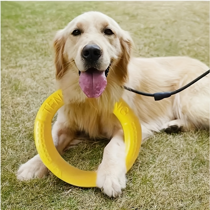 Juguete de disco volador de goma duradero para perros, platillo volador, pelota  interactiva para masticadores, juguetes para mascotas para perros para  interiores y exteriores - AliExpress