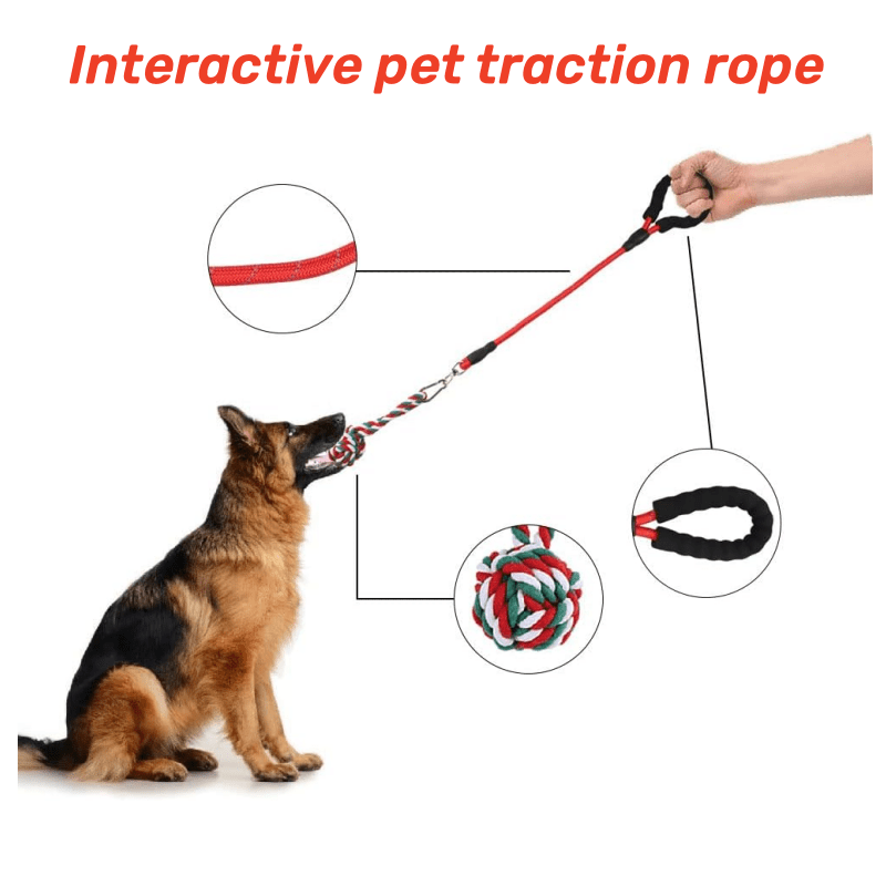 Dog Flirt Pole Interactive Dog Toys For Small Dogs Telescopic Dog  Enrichment Toys Flirt Pole For Dogs Heavy Duty For Exercise - AliExpress