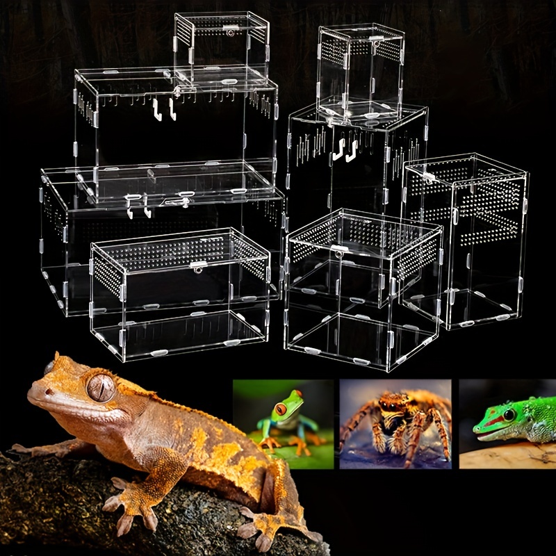 POPETPOP 5 Pièces Cage À Reptiles Cage De Cricket Petit Gecko Habitat Mini  Cage À Sauterelles Grillons Vivants pour Reptiles Cage De Cricket Ventilée
