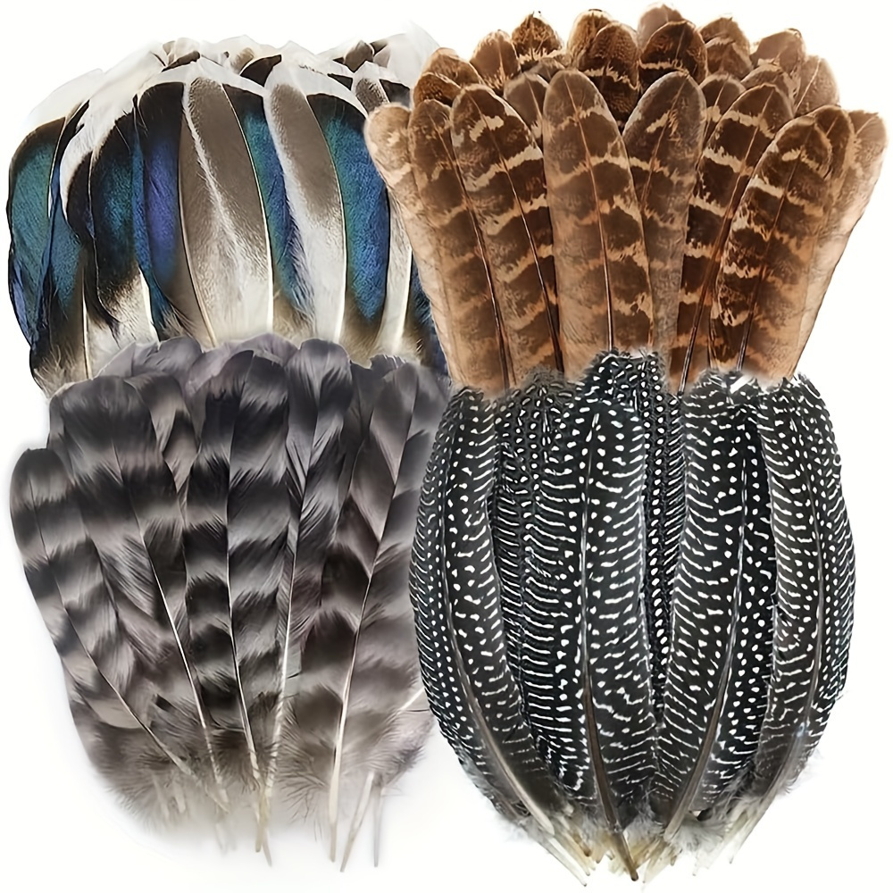 40pcs Natural Turkey Feathers,Pheasant Feathers,Spotted Feathers and Duck  Feathers,4 Styles Feathers for Crafts DIY Cowboy Hat Floral Arrangements