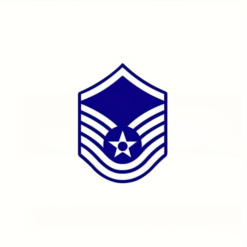 Air Force Master Sergeant - Temu