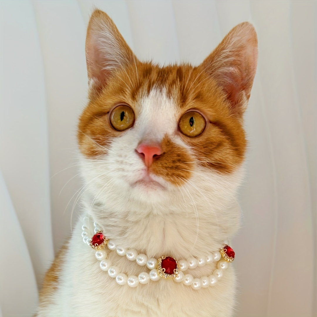 Jewelry for clearance your cat