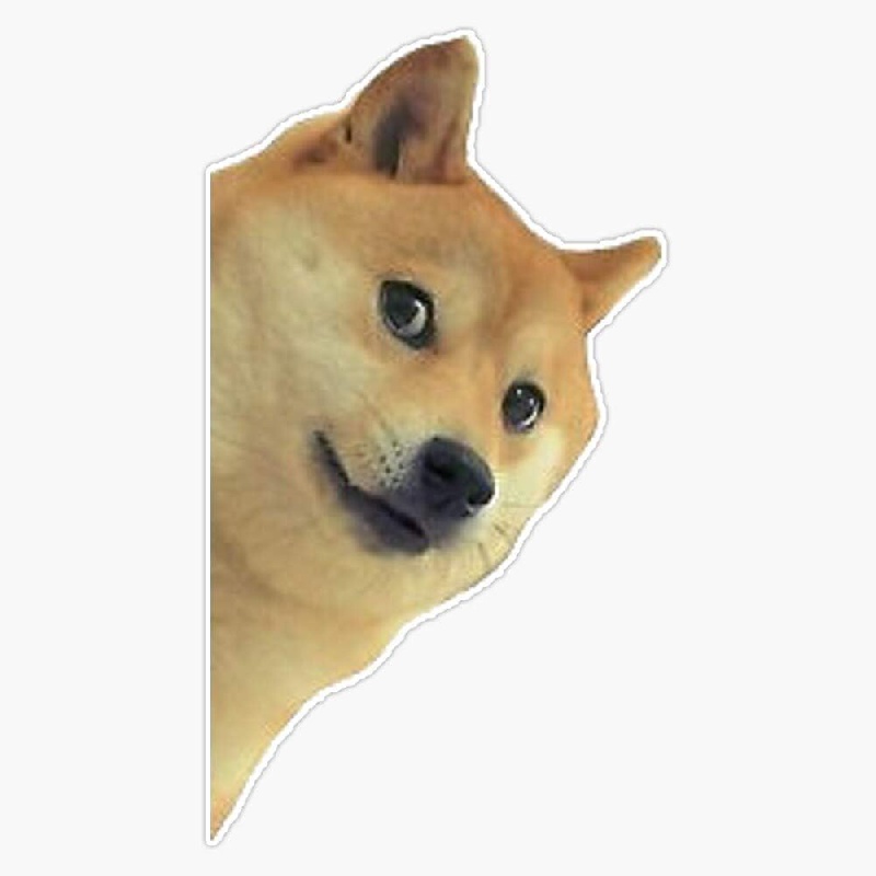 Doge Sticker - Temu