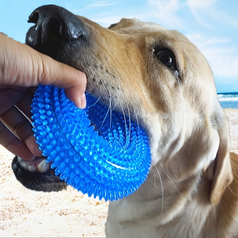 

Durable Squeaky Donut Chew Toy For Dogs - Perfect For Teething And Playtime