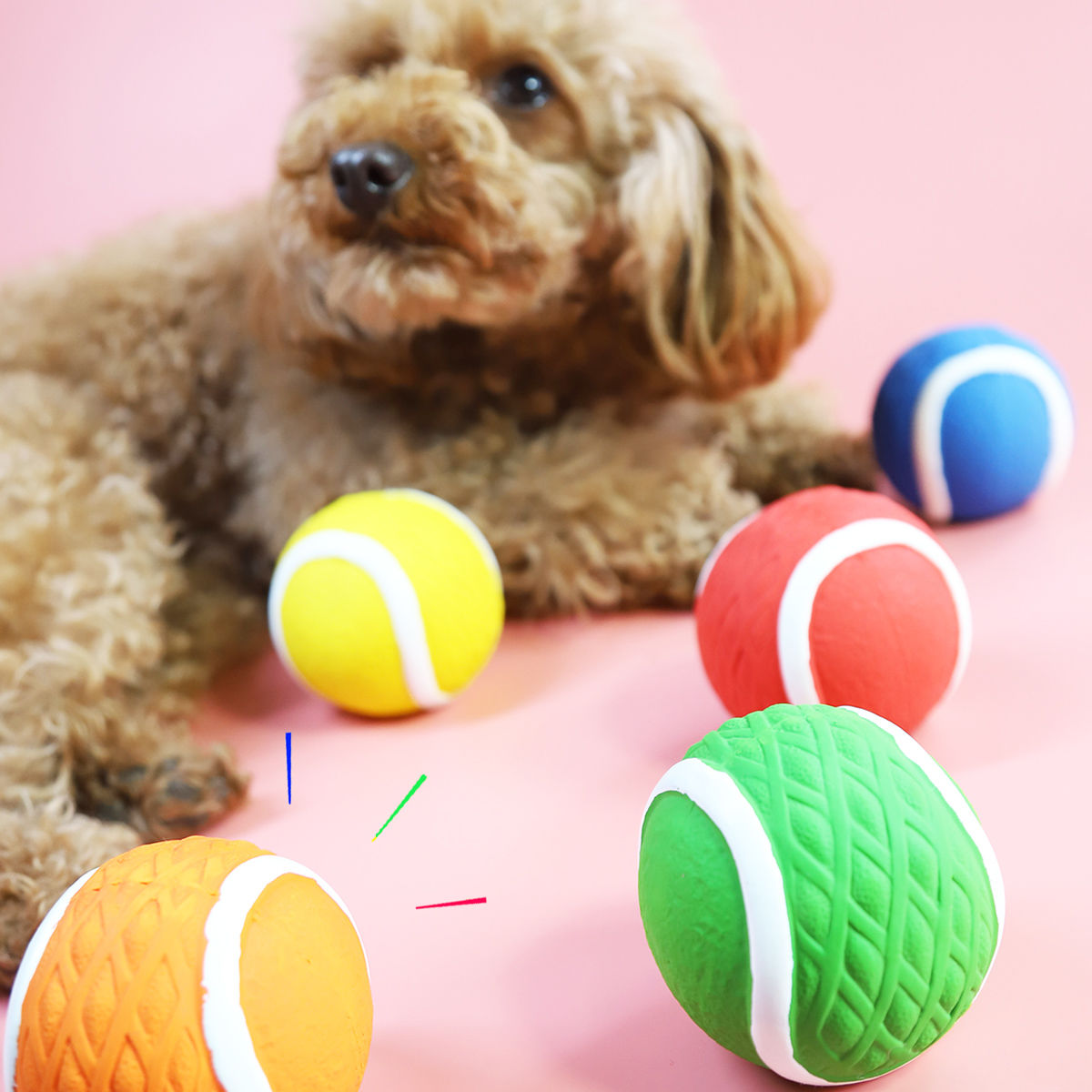 pet planet dog toys