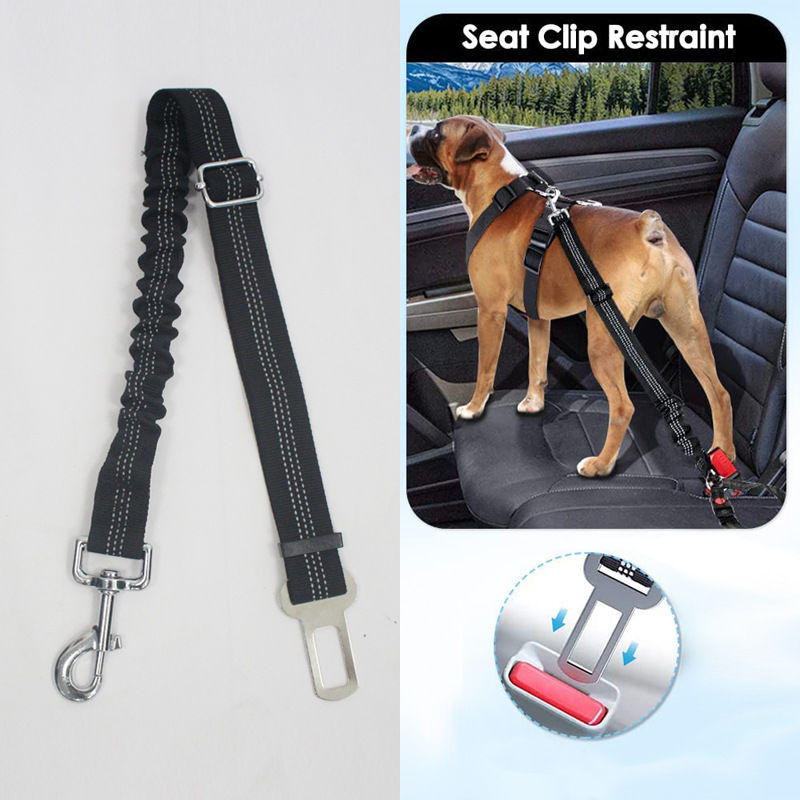 Laisse et ceinture de sécurité pour chien - Chien - Animal.Compagnie