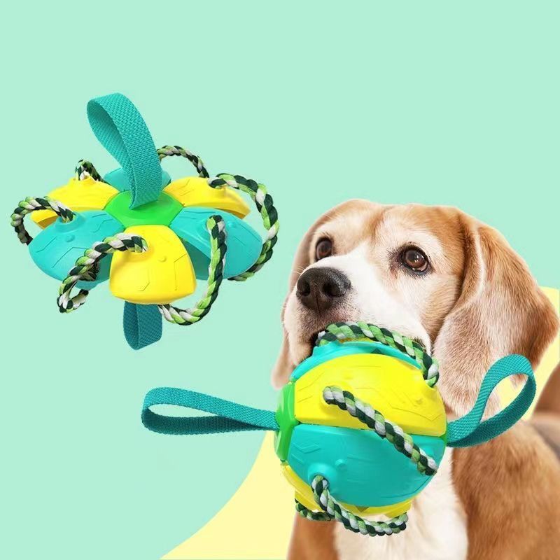 how do you teach a dog toy