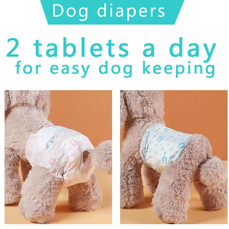 Pañales desechables para mascotas perros, pañales para perros, pantalones  fisiológicos Teddy, pantalones mágicos anti apareamiento para perros machos