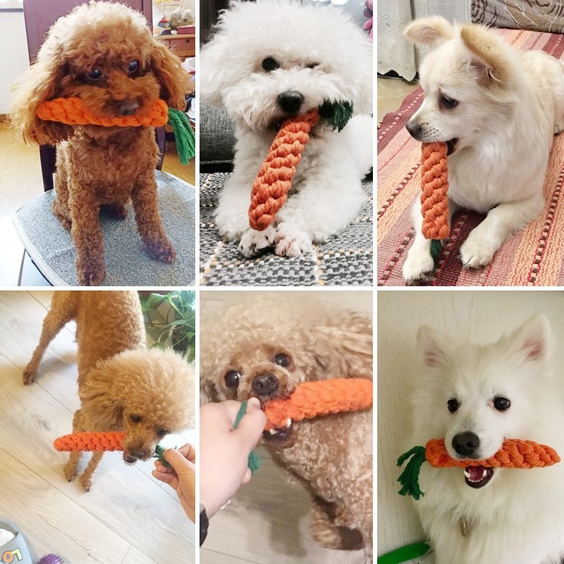 Set de juguetes para perros de tamaño pequeño y cachorros. - Para mascotas