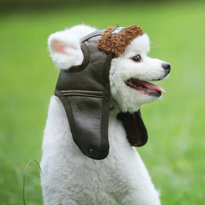 Christmas Pet Hats Winter Dog Woolen Puppy Hat With Ball Headwear For Small  Dogs Accessories - Temu