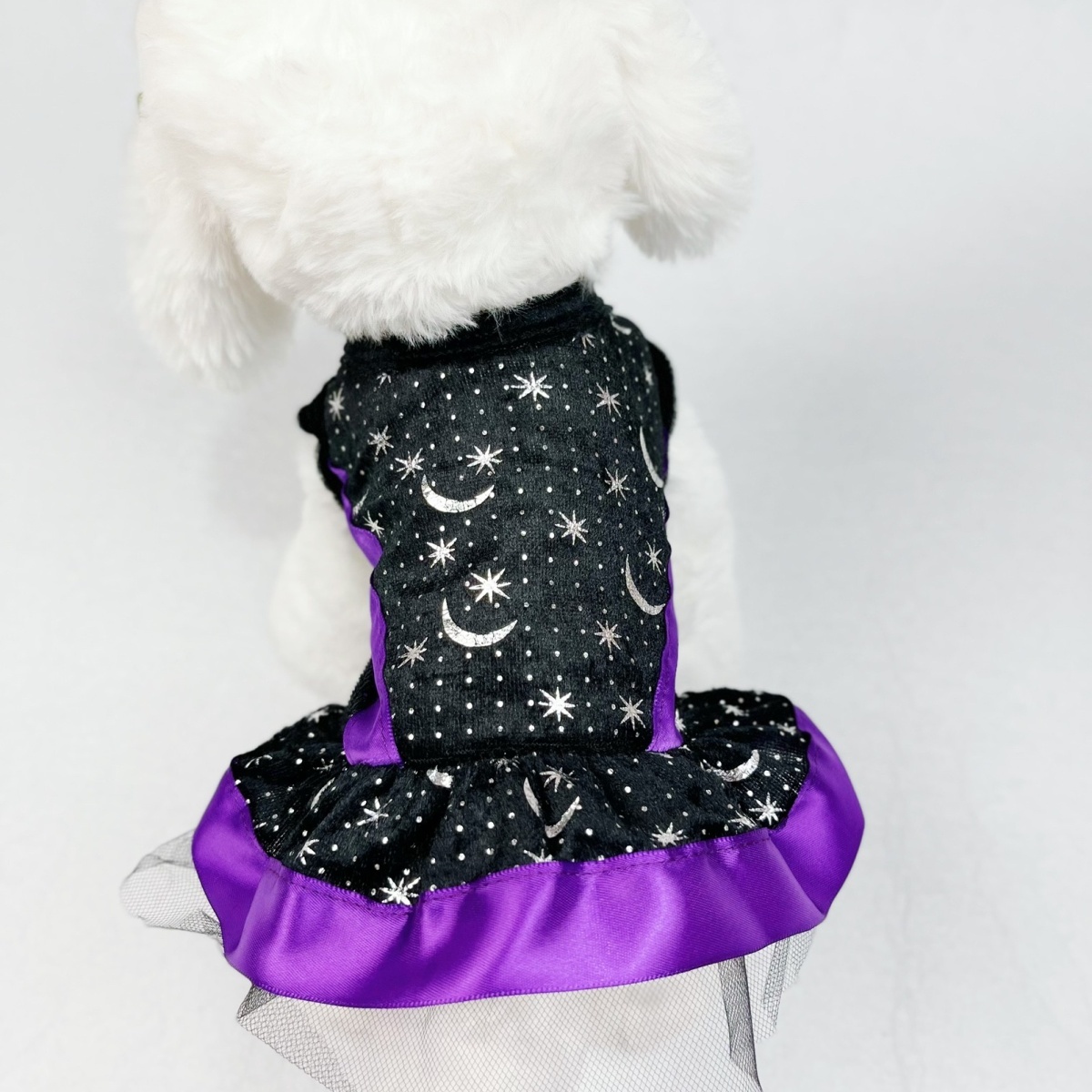 Moon shop dog costume