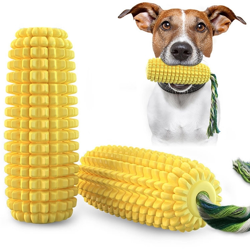 can you give dogs corn cobs