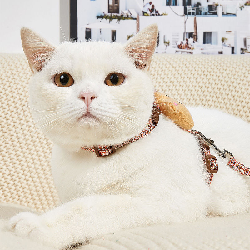 Pet Harness And Leash Set Adjustable Cat Harness Durable Pet Harness 