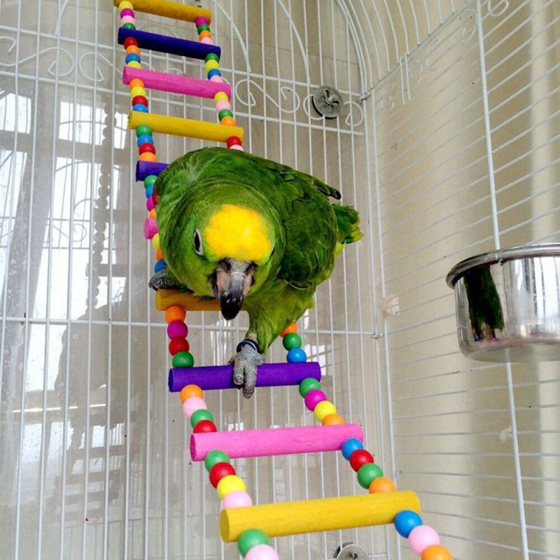 Bird Parrot Step Ladders Pet Swing Chewing Toys Budgie Cockatiel