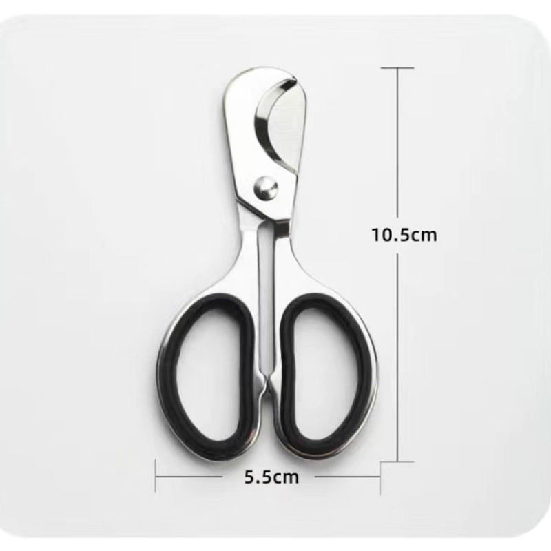 5.5 Precision Scissor