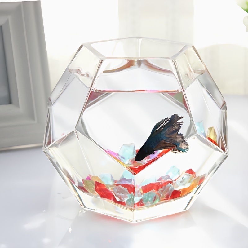 Large Glass Bubble Fish Bowl Terrarium Vase