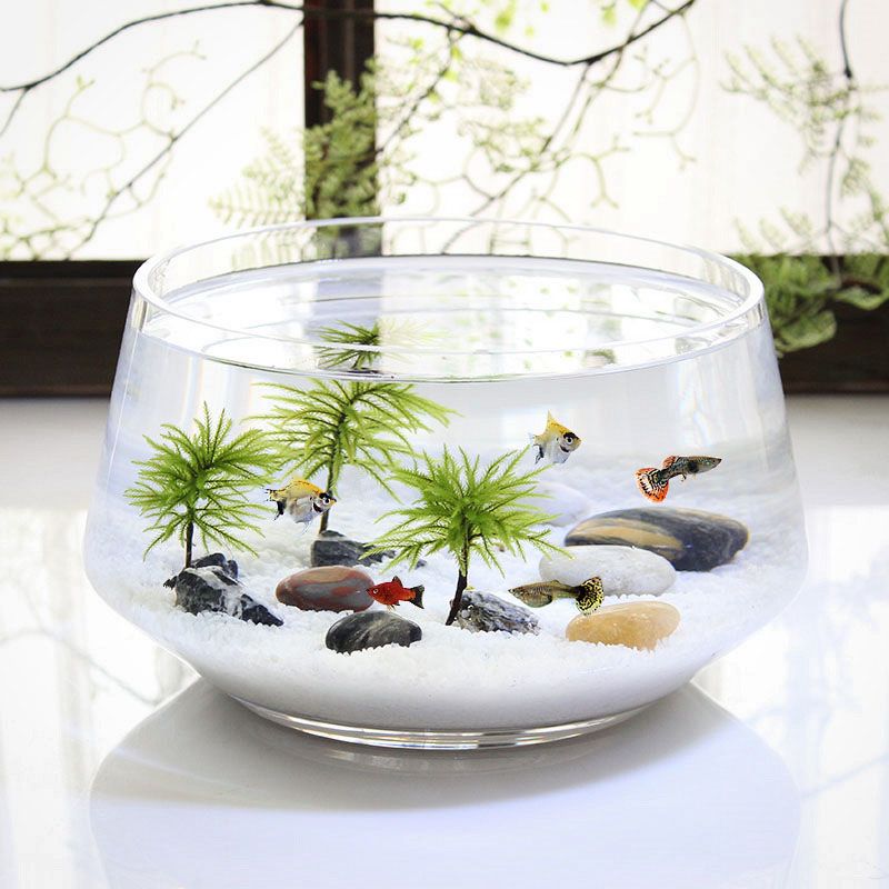 Beautiful Goldfish Tank: Thickened High White Glass - Temu Canada