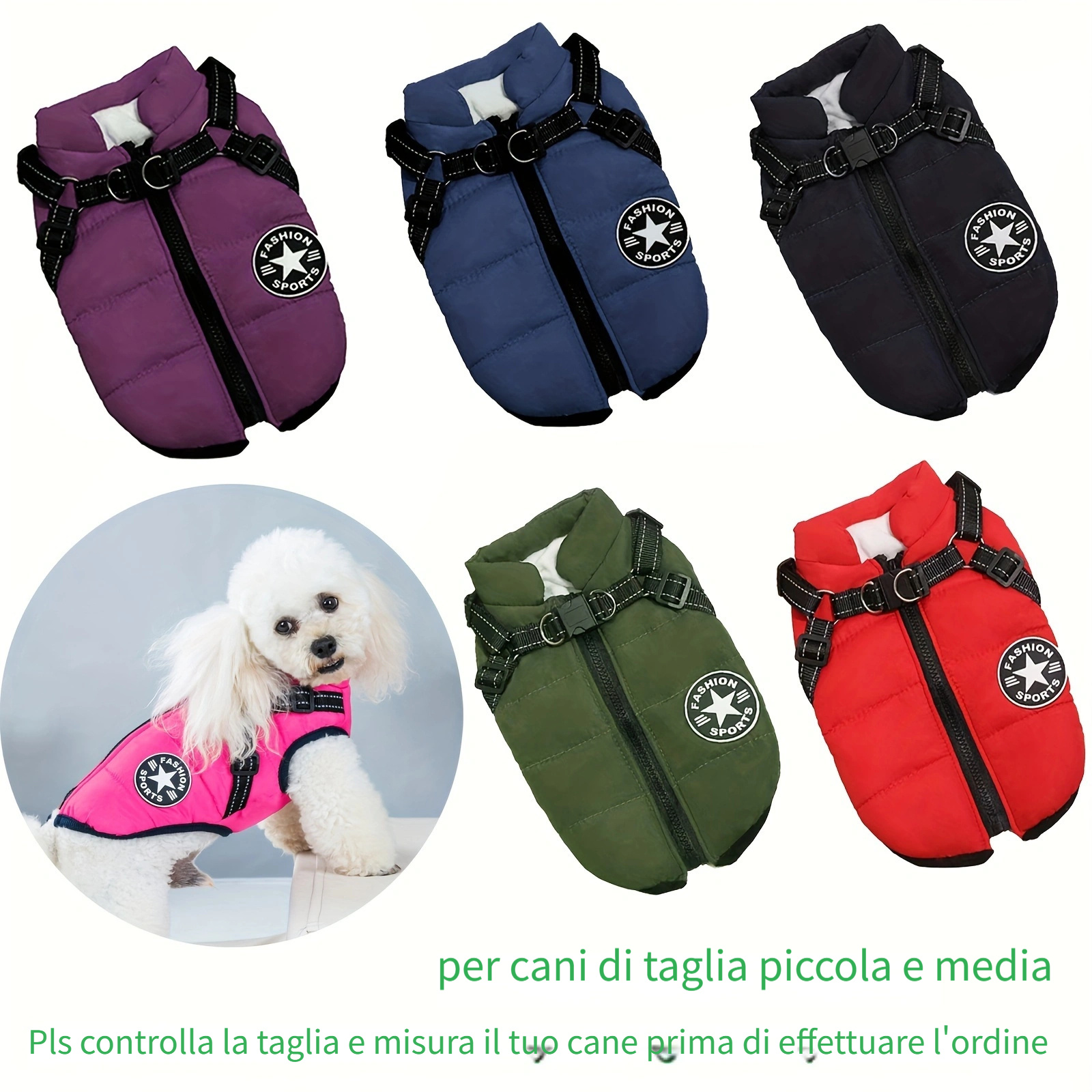 Cappotto Per Cani Di Piccola Taglia - Resi Gratuiti Entro 90 Giorni - Temu  Italy