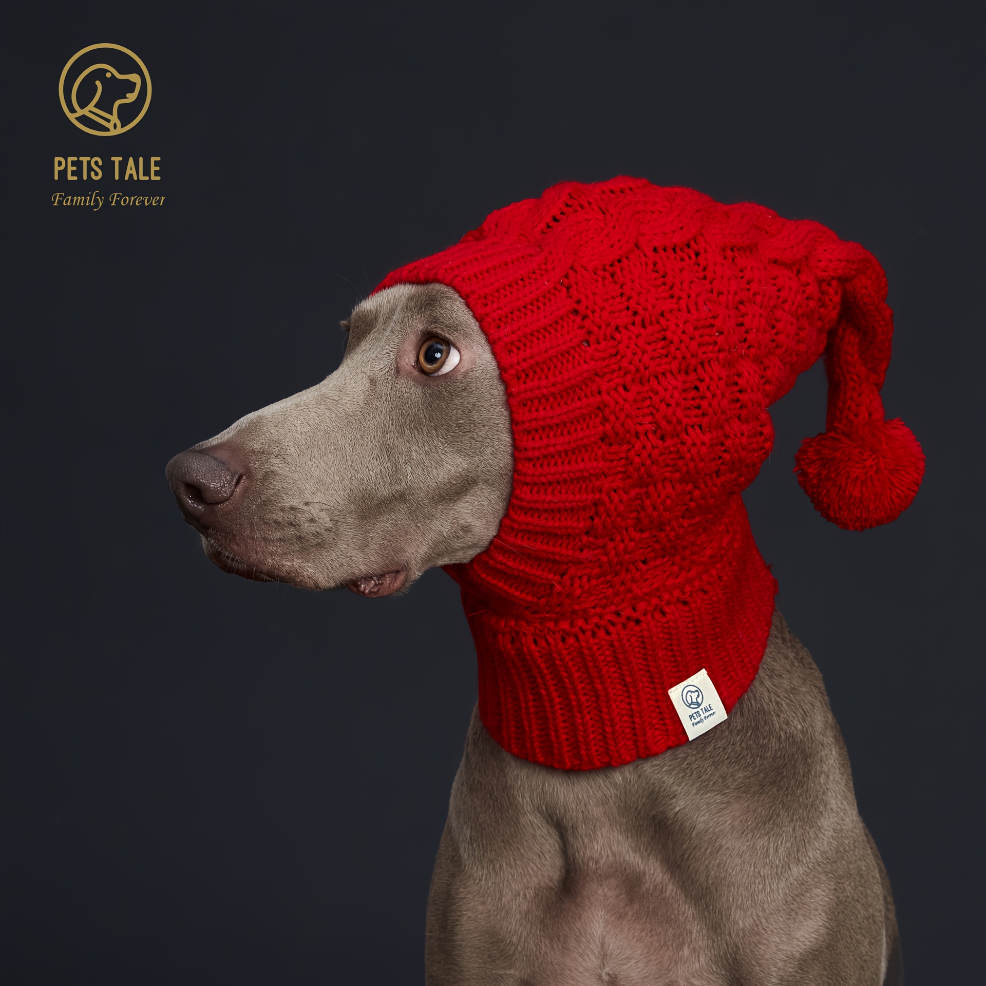 Cappellino invernale per cani, accessori per animali domestici di Natale  Cappello da cucciolo caldo con copricapo a sfera per cani di piccola taglia