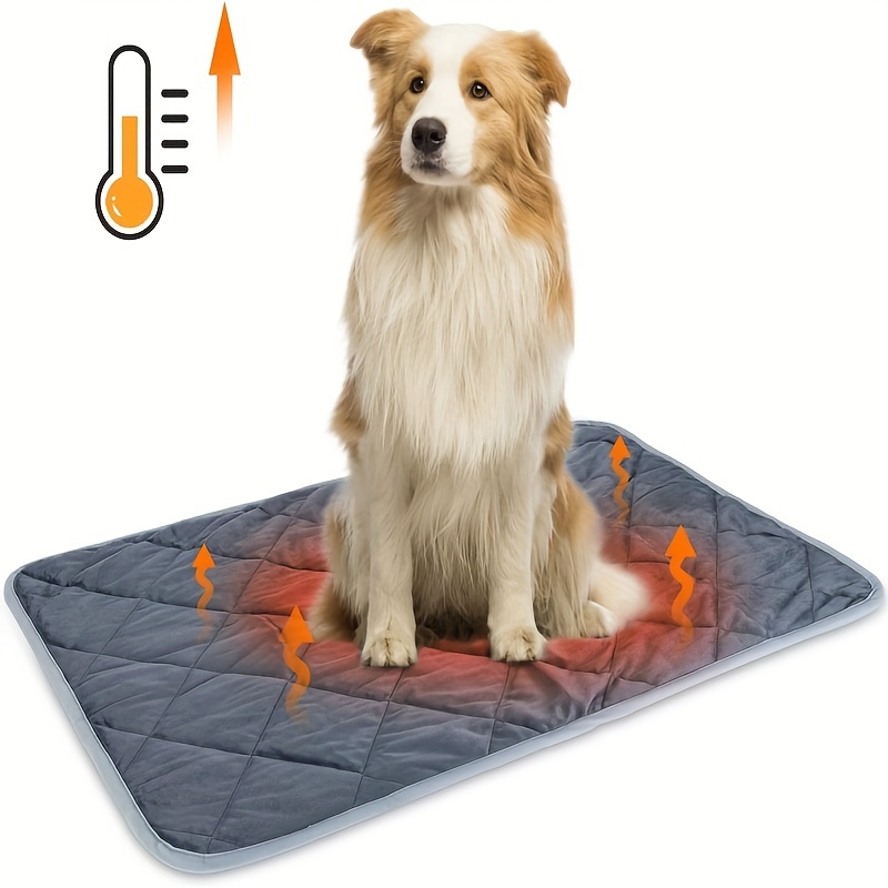  HOMIMP Door Mat, Absorbent Rug Dog Mat (30 x 48