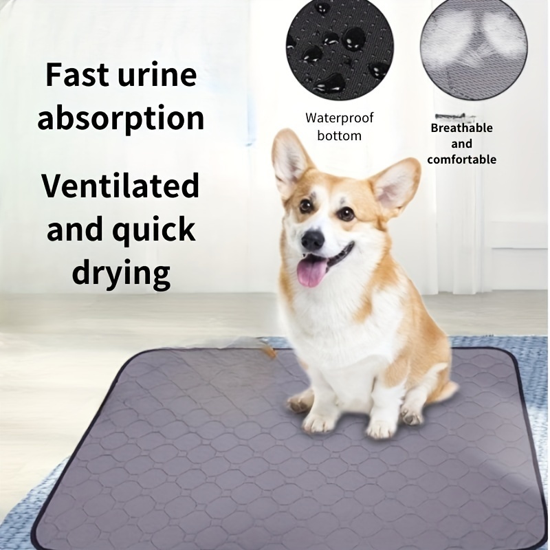 Kmart dog pee store mat