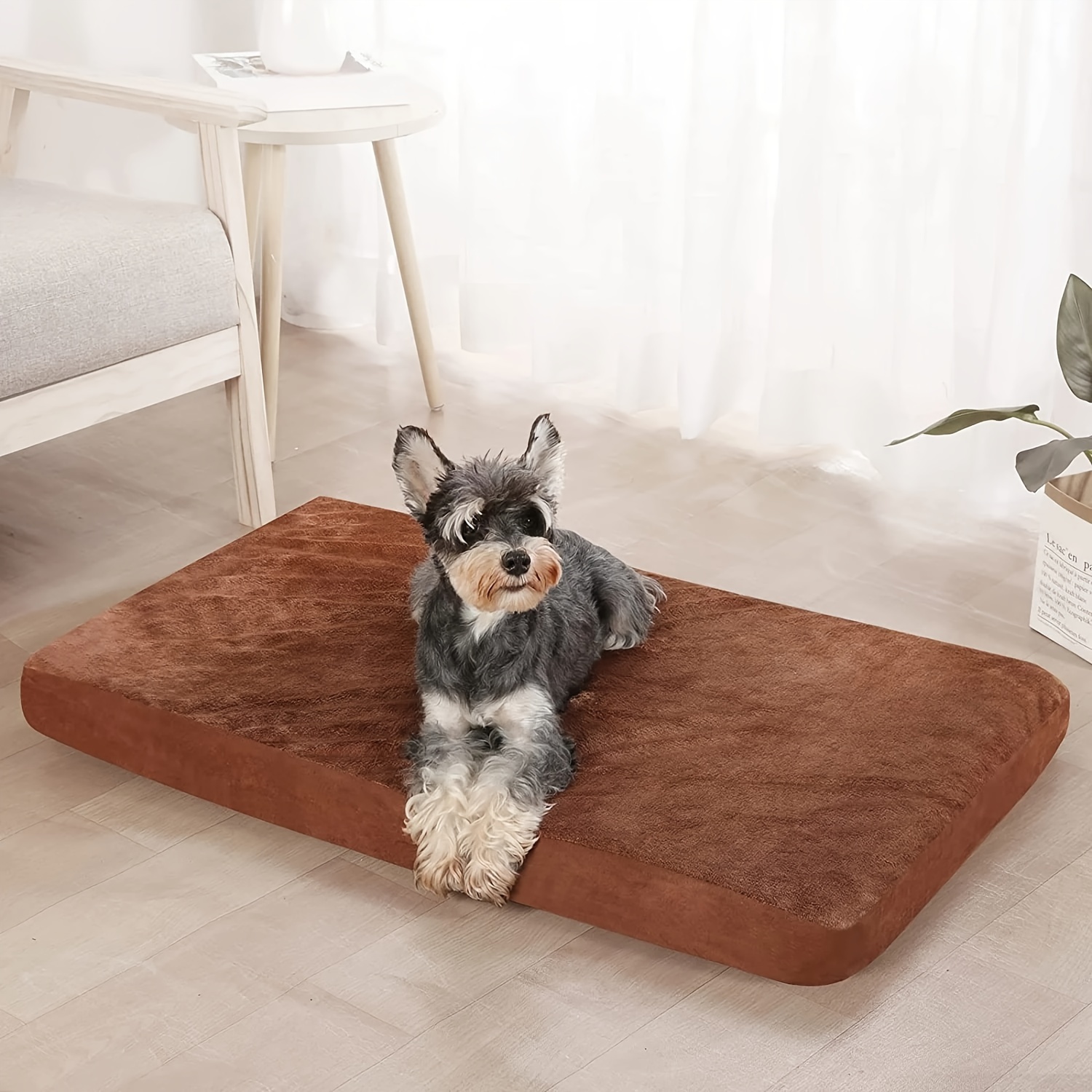 Dog clearance beds woodies