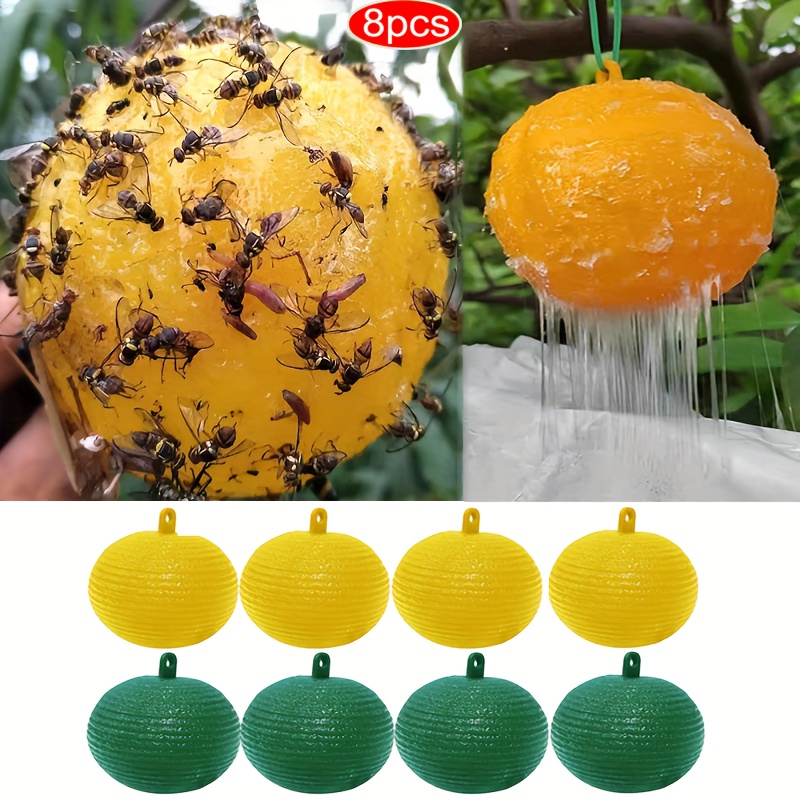 Fruit Fly Traps with 8Pcs Sticky Pads,Gnat Traps with Bait Non-Toxic Fruit  Fly Traps for Indoors Outdoor Odorless Safe Fly Catcher Gnat Fruit Flies