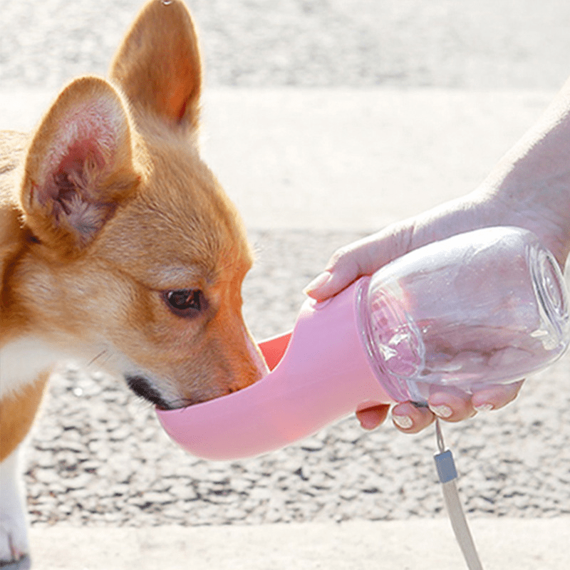 Botella De Agua Para Perros Al Aire Libre Bebedero Portátil - Temu