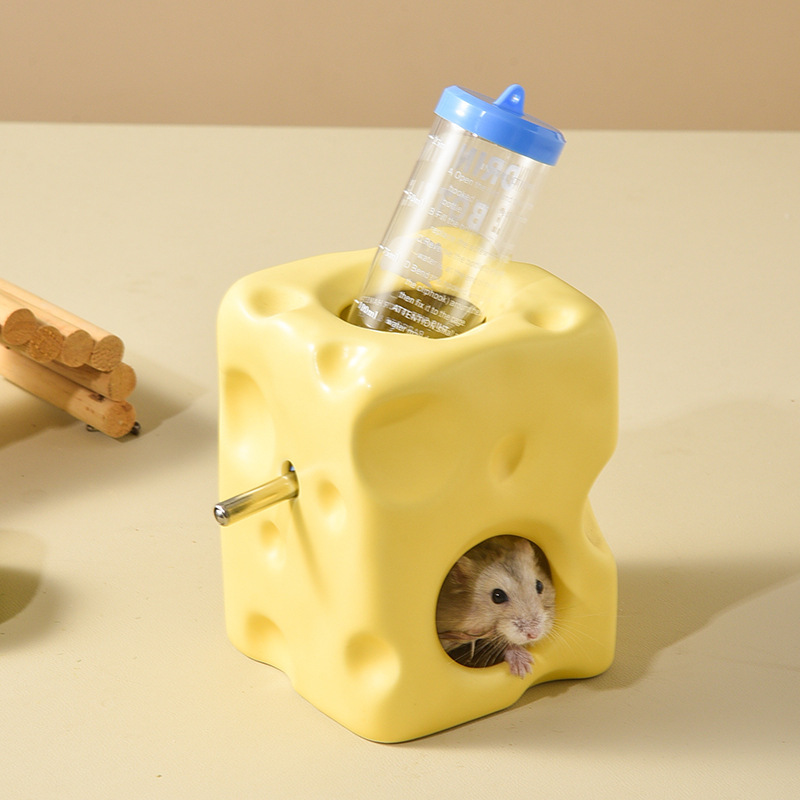 Can hamsters eat sales cheese