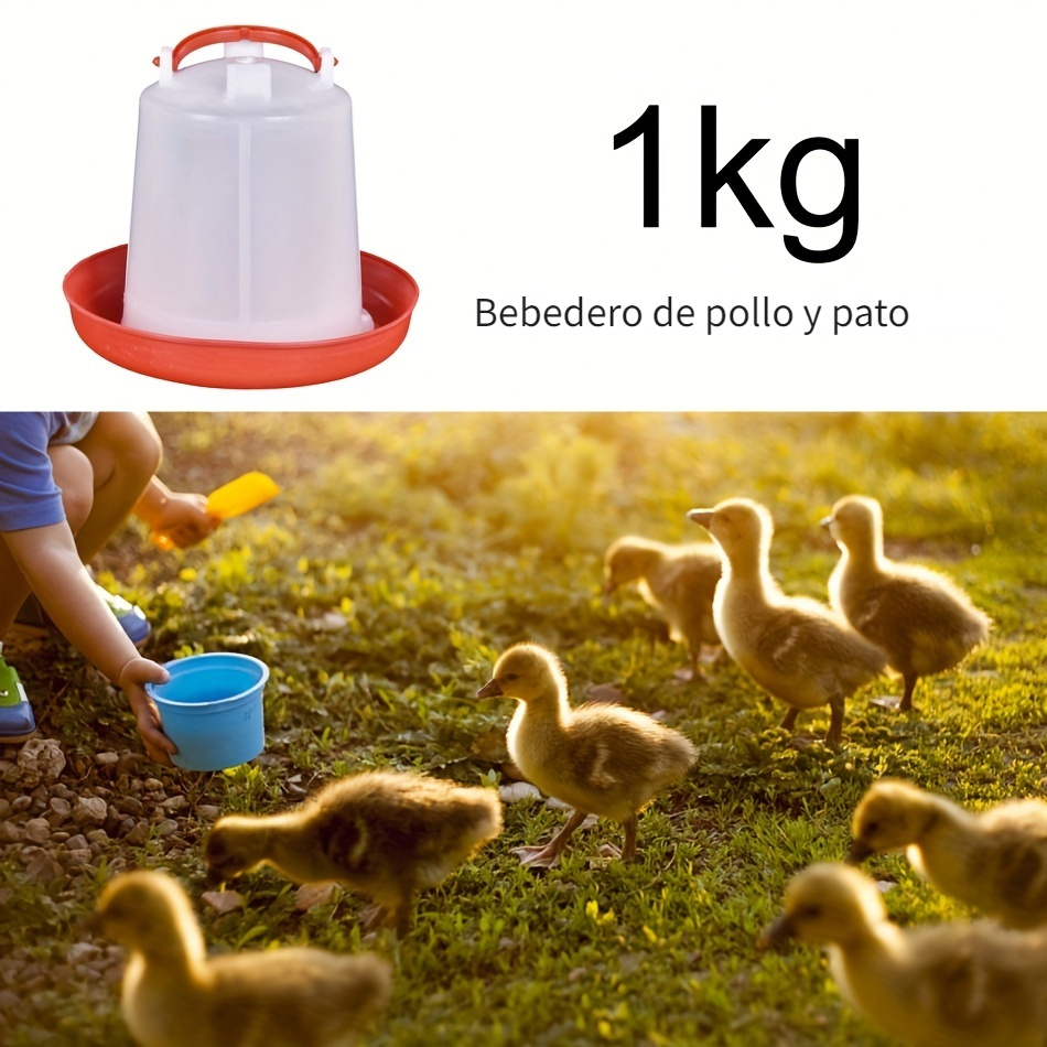 Basics - Dispensador de agua para mascotas, bebedero y comedero,  grande, Blanco