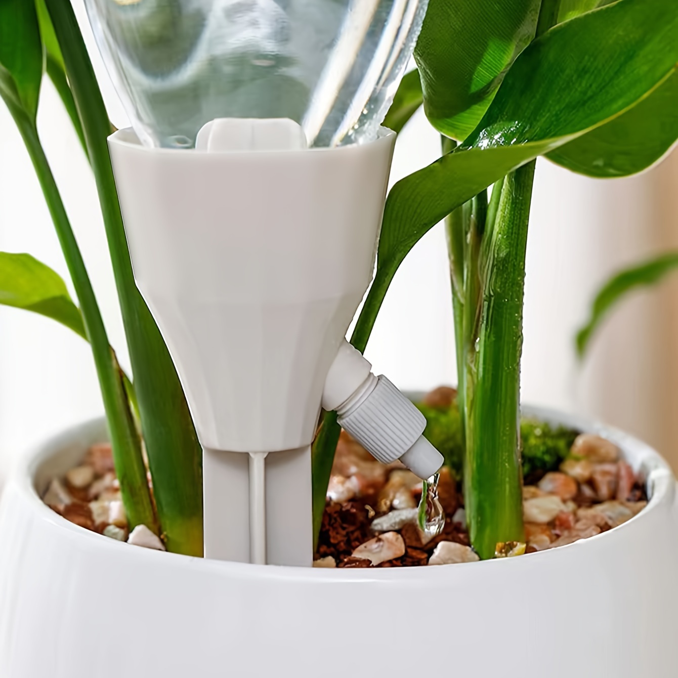 Indoor Plant Feeder - Temu Canada