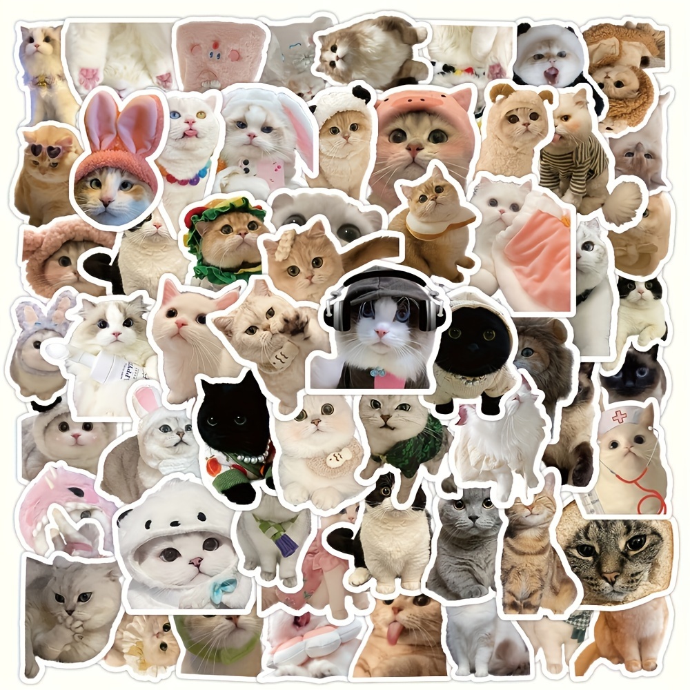 10/50pcs Mix Animal Cat Meme Stickers Graffiti Kids Toy Scrapbook Suitcase  Notebook Laptop Phone Funny Stationary Sticker Decals